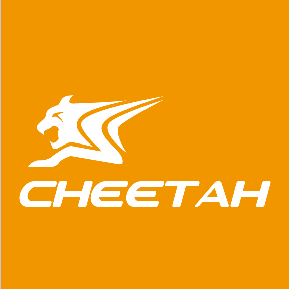 CHEETAH-2